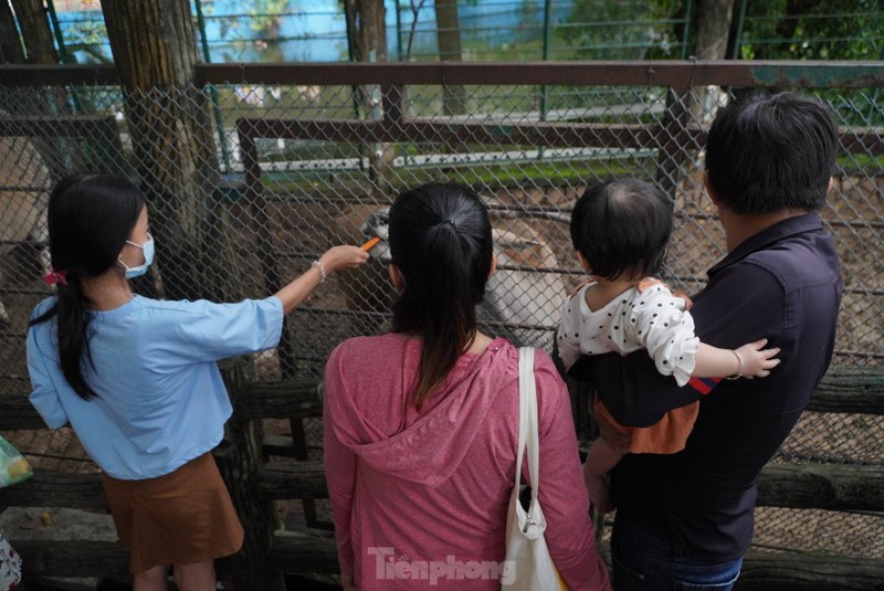 Thao Cam Vien Sai Gon tap nap trong ngay 'Tet Thieu nhi'-Hinh-4