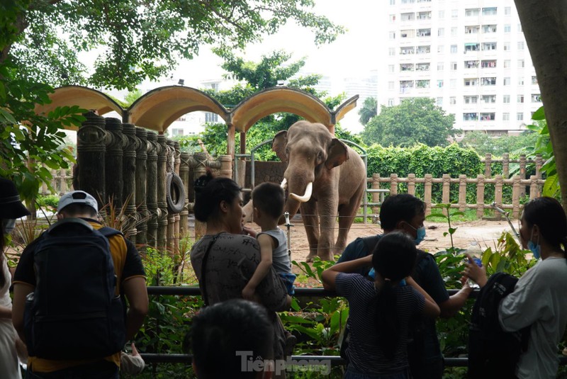 Thao Cam Vien Sai Gon tap nap trong ngay 'Tet Thieu nhi'-Hinh-5