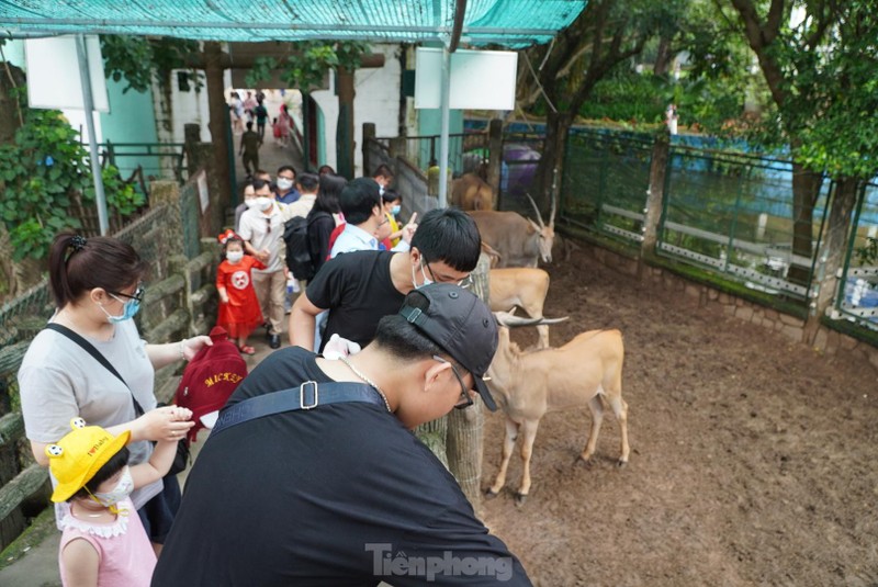 Thao Cam Vien Sai Gon tap nap trong ngay 'Tet Thieu nhi'