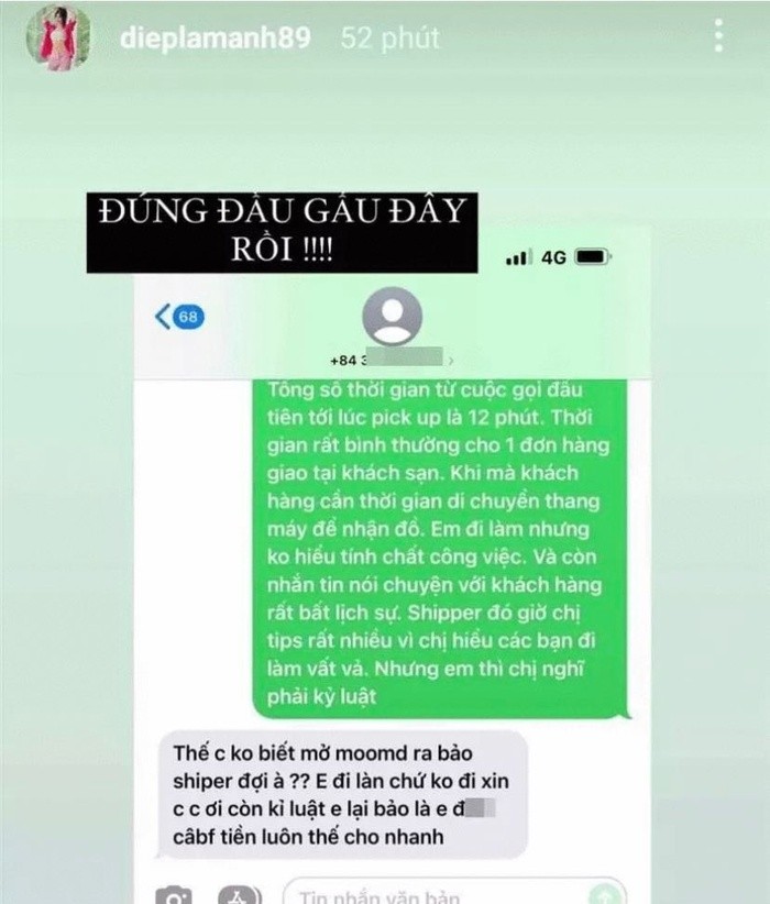 Diep Lam Anh goi mot nam shipper la 'dau gau'-Hinh-4