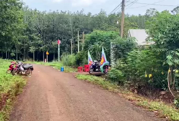 Tin nong 26/7: Tu tieng dong vat, phat hien su viec thuong tam