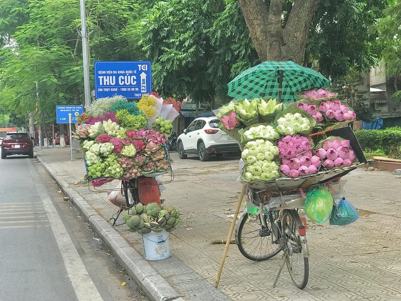 Pho Ha Noi ruc ro va moi la voi sac sen Quan Am-Hinh-14