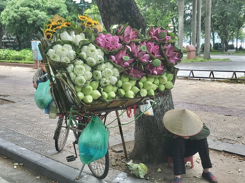 Pho Ha Noi ruc ro va moi la voi sac sen Quan Am-Hinh-15