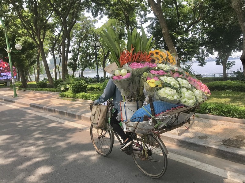 Pho Ha Noi ruc ro va moi la voi sac sen Quan Am-Hinh-16