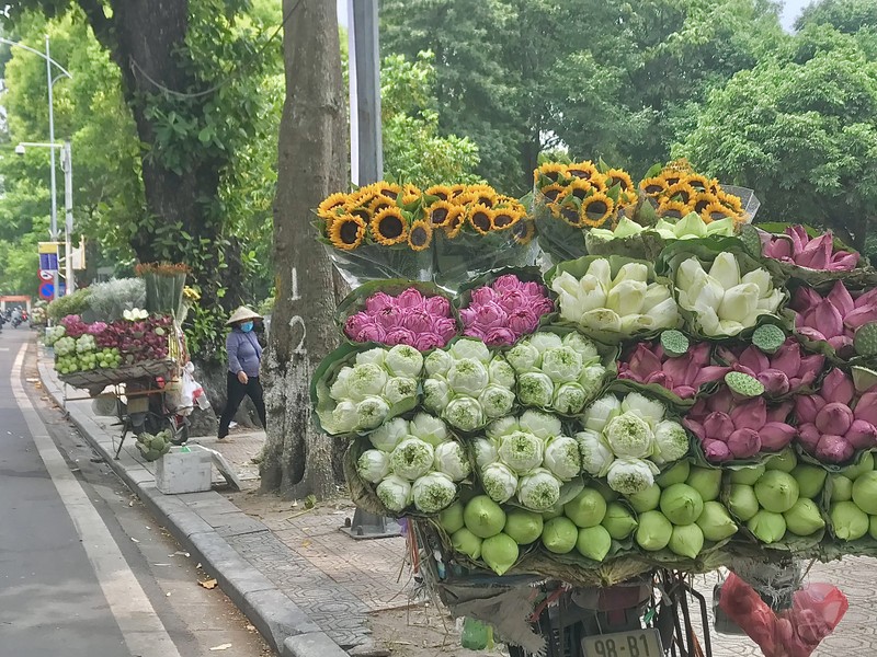 Pho Ha Noi ruc ro va moi la voi sac sen Quan Am-Hinh-3