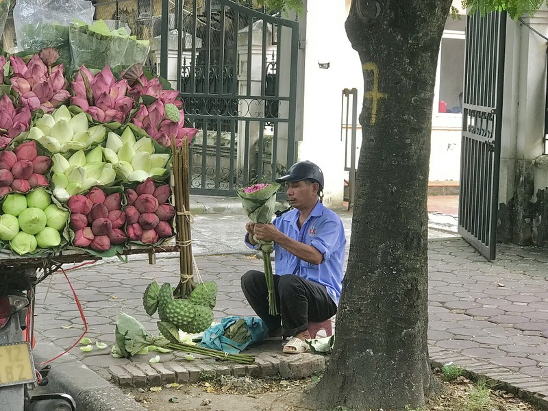 Pho Ha Noi ruc ro va moi la voi sac sen Quan Am-Hinh-4