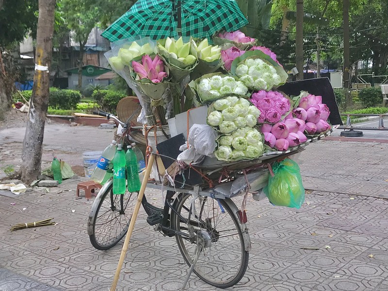 Pho Ha Noi ruc ro va moi la voi sac sen Quan Am-Hinh-7