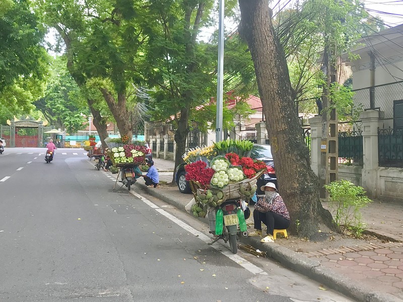 Pho Ha Noi ruc ro va moi la voi sac sen Quan Am