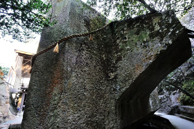 Ky la tang da 500 tan lo lung tren khong, chuyen gia roi nao-Hinh-8