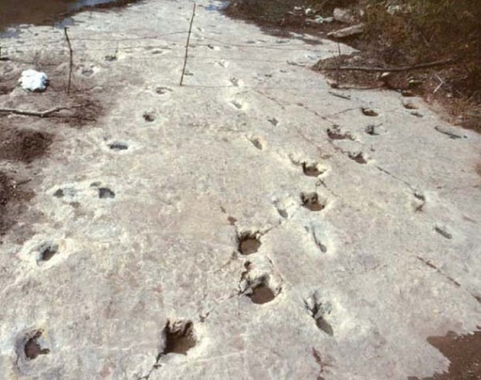 Roi nao 4 bi an muon doi khong giai, den chuyen gia cung 