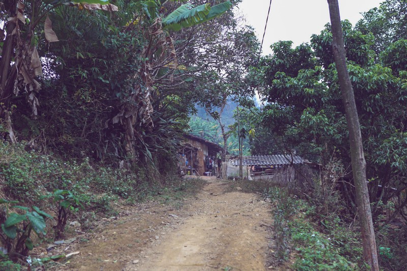 Den Bac Hoa ngam nhung ngoi nha trinh tuong doc dao cua nguoi Nung-Hinh-3