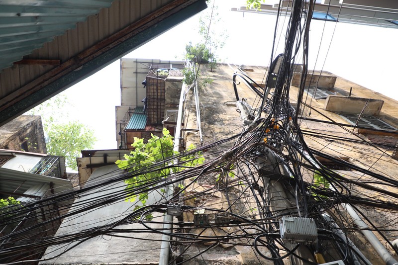 Can canh khu tap the cu o Ha Noi xuong cap, cay moc tren tuong-Hinh-11