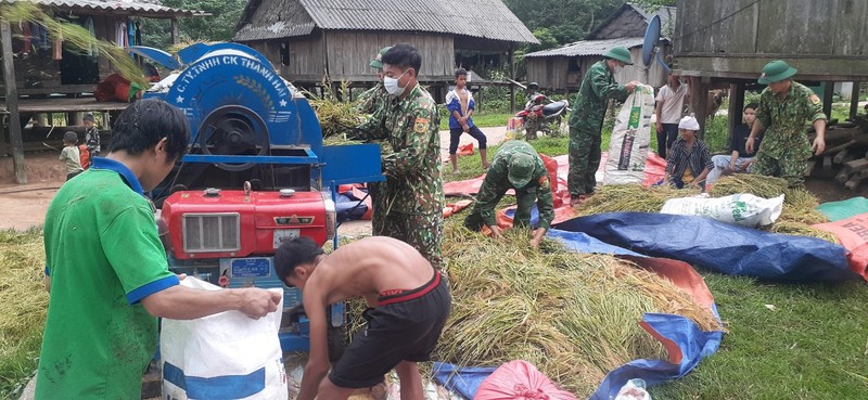 Quang Binh: Nhung ruong lua triu hat tham tinh quan dan noi bien gioi-Hinh-4