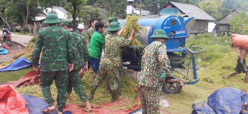 Quang Binh: Nhung ruong lua triu hat tham tinh quan dan noi bien gioi-Hinh-5