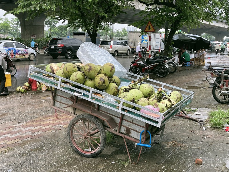 Bat nhao tinh trang chiem dung long duong de kinh doanh o Ha Noi-Hinh-7