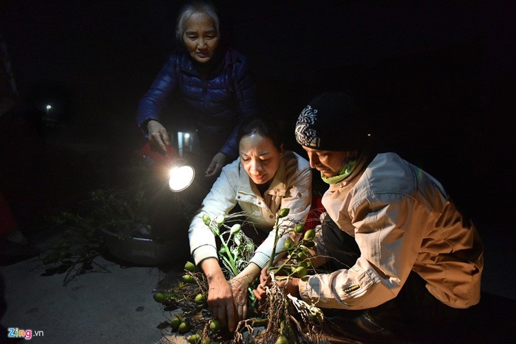 Anh: Phien cho Tet hop tu to mo sang o ngoai thanh Ha Noi-Hinh-7