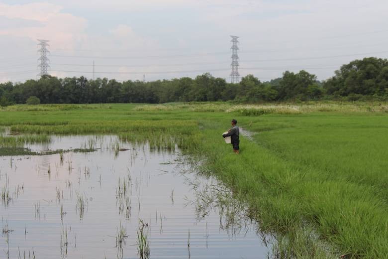 BDS TP.HCM ra sao khi chuyen doi 26.000 ha dat nong nghiep?