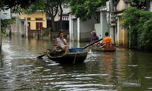 Ron lu Quoc Oai: Thoa suc cheo thuyen, boi loi vay vung khap duong lang-Hinh-6