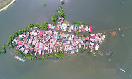 Ron lu Quoc Oai: Thoa suc cheo thuyen, boi loi vay vung khap duong lang