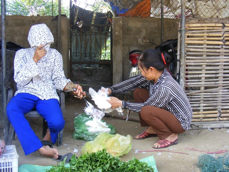 Nghe An: Rung minh, chim troi bi khau mat, vat long song giua dong-Hinh-7