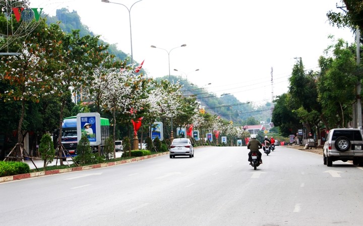 Pho nui Son La tinh khoi trong sac trang hoa Ban-Hinh-2