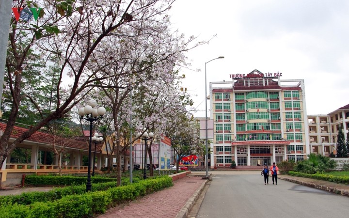 Pho nui Son La tinh khoi trong sac trang hoa Ban-Hinh-6