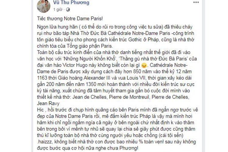 Vu chay Nha tho Duc Ba Paris: Sao Viet dau xot, cau nguyen-Hinh-7