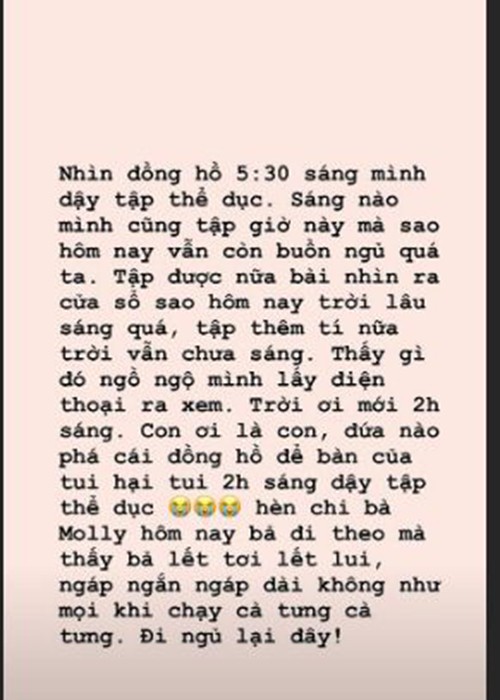 Tang Thanh Ha tap the duc tu 2h sang va thu pham chinh la… 2 nhoc ti-Hinh-2