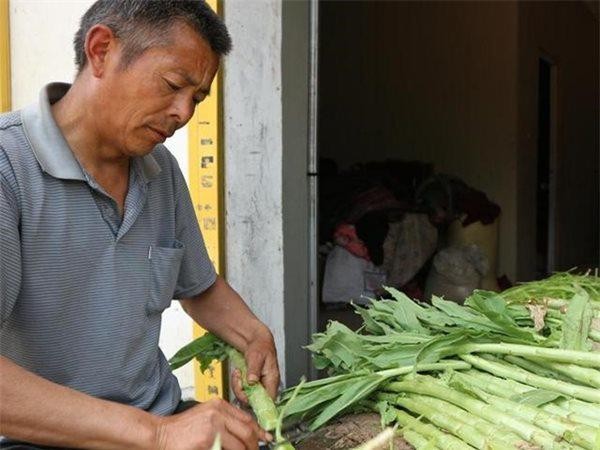 Ky la: Loai rau dac san tung de tien Vua bay gio chi de cho lon an-Hinh-5