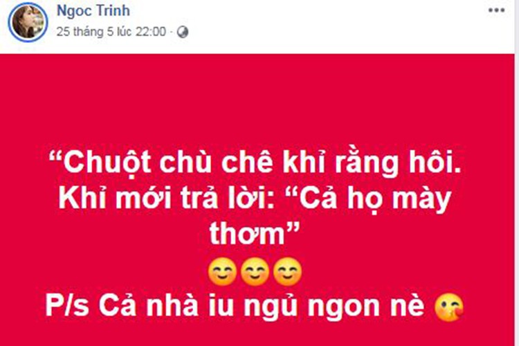 Ngoc Trinh vui ve bat chap on ao mac phan cam-Hinh-4