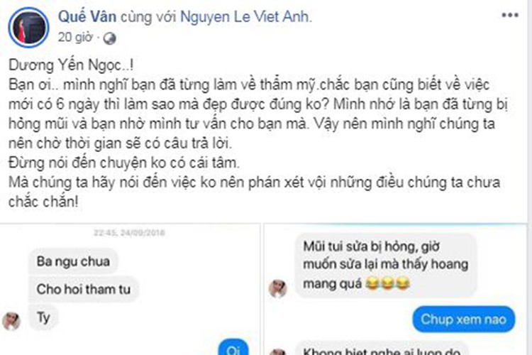 Viet Anh len tieng giua on ao bi che dao keo xau-Hinh-7