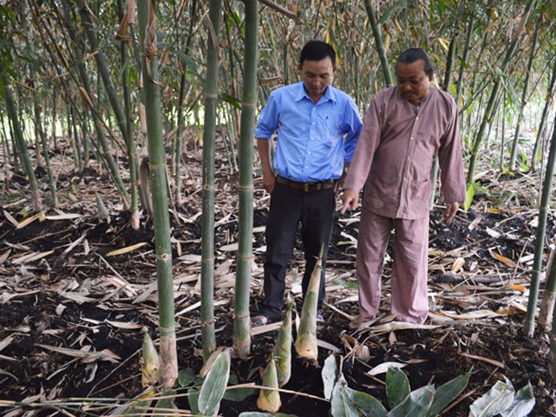 An Giang: Chi trong tre thoi, moi ngay co ngay gan 1 trieu dong