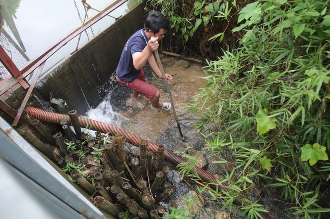 Loc xoay 'hau bao' quat tung hon 400 noc nha dan o Quang Ngai-Hinh-2