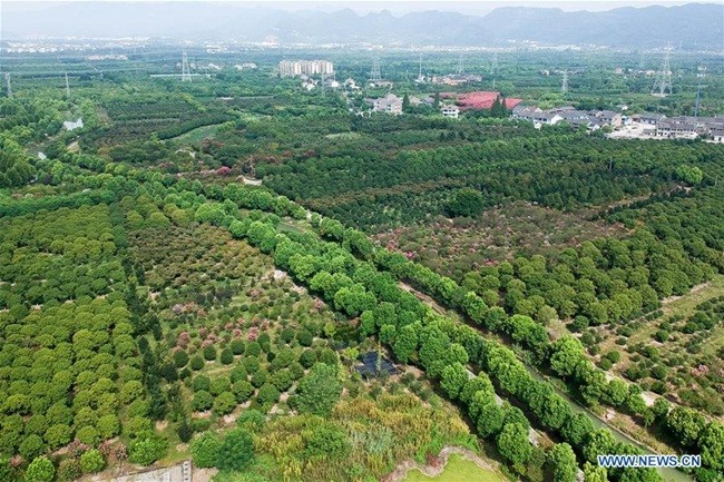 Tu lang ngheo, nay giau co “doi doi”, moi nguoi thu nhap hon 200 trieu/nam-Hinh-13