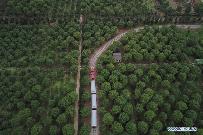 Tu lang ngheo, nay giau co “doi doi”, moi nguoi thu nhap hon 200 trieu/nam-Hinh-8