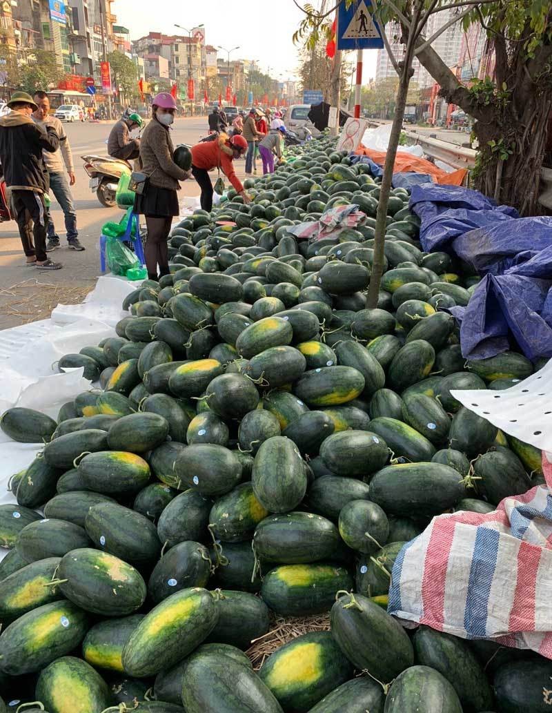 Dua hau e chat dong via he Ha Noi, dau nam te tai giua gia ret-Hinh-2