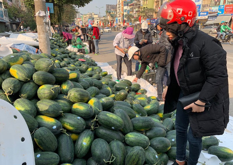 Dua hau e chat dong via he Ha Noi, dau nam te tai giua gia ret-Hinh-6