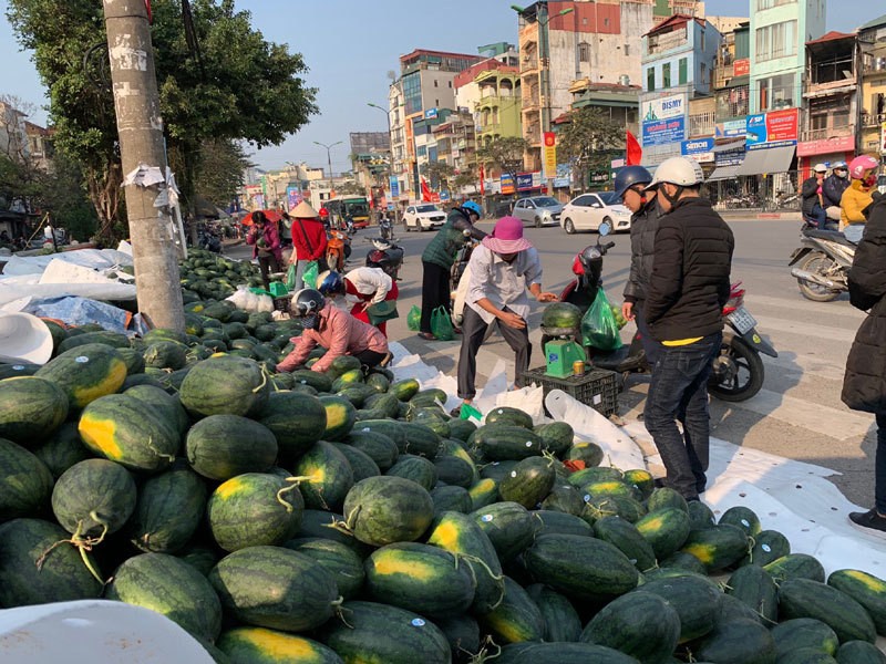 Dua hau e chat dong via he Ha Noi, dau nam te tai giua gia ret-Hinh-7