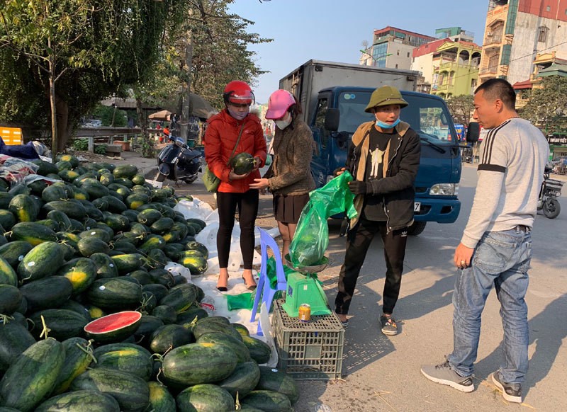 Dua hau e chat dong via he Ha Noi, dau nam te tai giua gia ret-Hinh-9