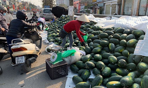 Dua hau e chat dong via he Ha Noi, dau nam te tai giua gia ret