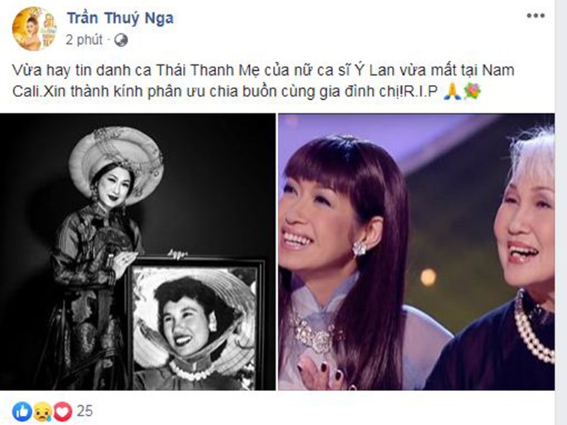 Tran Thanh va loat sao thuong tiec danh ca Thai Thanh qua doi-Hinh-10