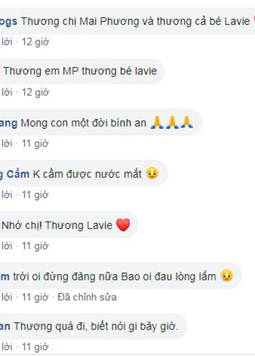 Roi nuoc mat clip Mai Phuong cung con gai choi tro bac si-Hinh-3