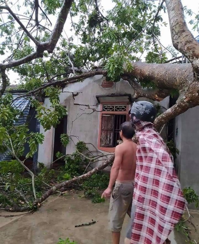 20 phut dong loc cuon bay nhieu nha cua, hoa mau o Nghe An