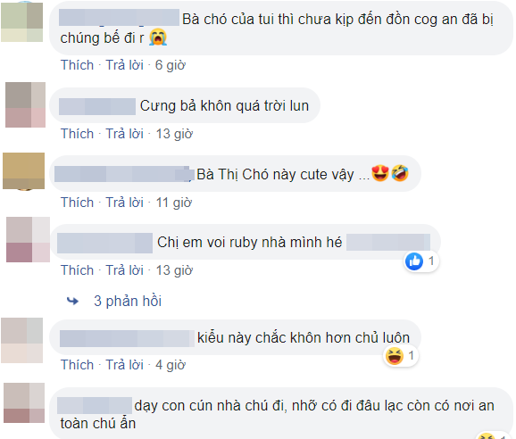 Thich thu chung kien cau chuyen di lac cua 'co cho' thong minh-Hinh-2