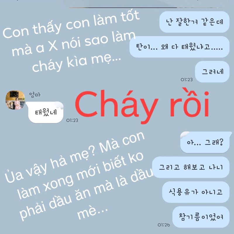 Me Hari Won thay toi loi voi Tran Thanh vi 'khong biet day con'-Hinh-3