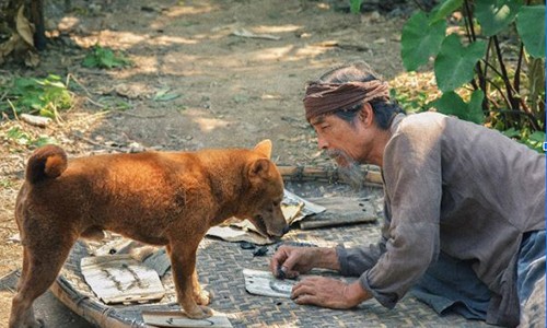 Teaser trailer phim “Cau Vang” he lo tinh tiet khac nguyen tac