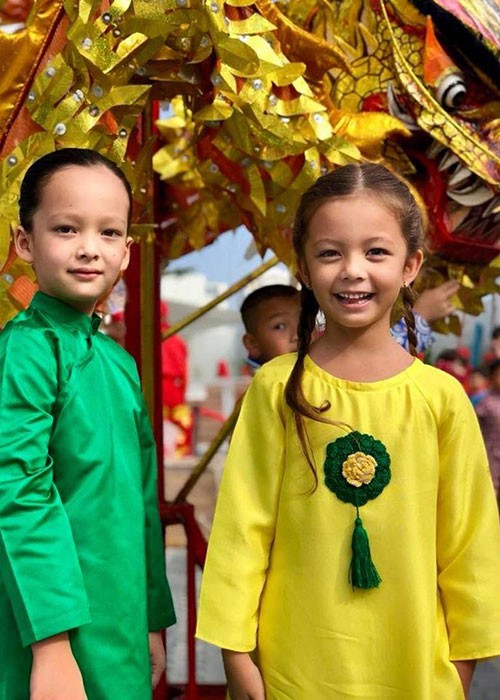 Ngam cap song sinh lai Tay cua Hong Nhung dien ao dai “dep xiu“-Hinh-11