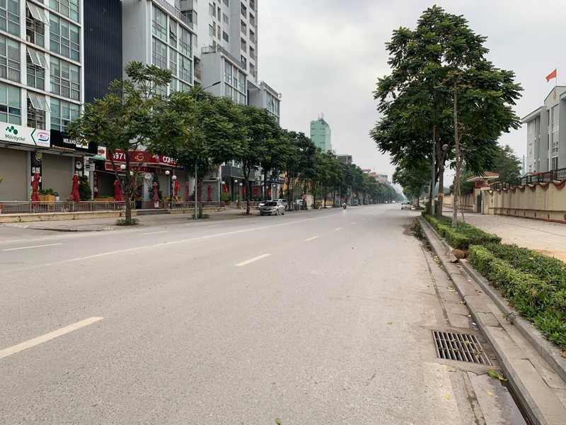 Tet Tan Suu 2021: Ha Noi vang ve sang mung 1-Hinh-3