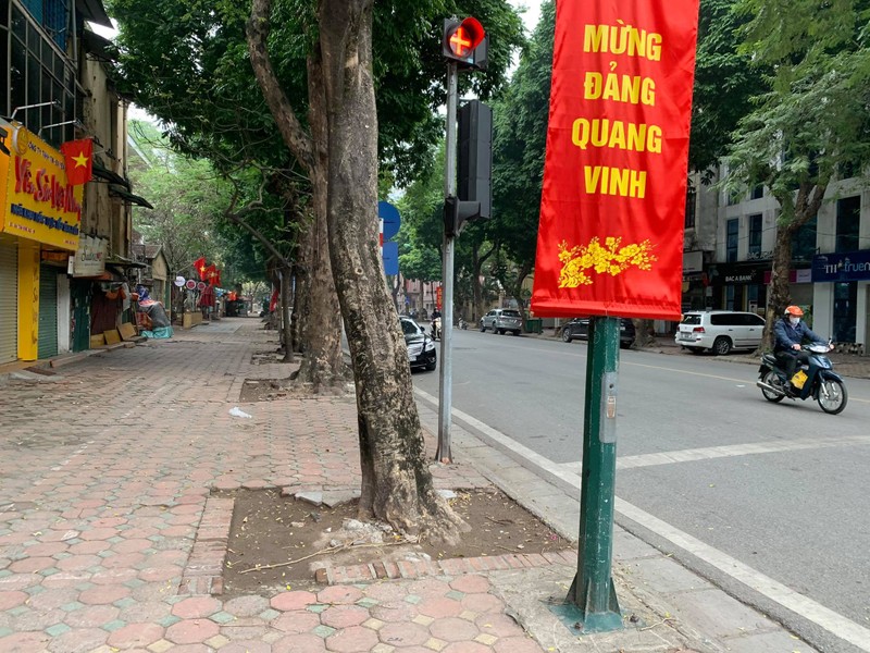 Tet Tan Suu 2021: Ha Noi vang ve sang mung 1-Hinh-7