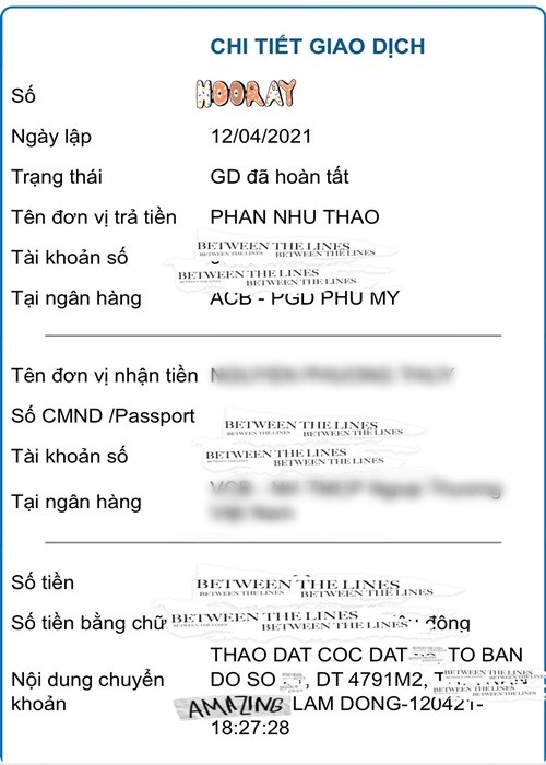 Phan Nhu Thao duoc chong dai gia tang gan 5.000 m2 dat-Hinh-2